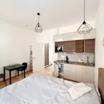 Rent 1 bedroom apartment in Praha 2