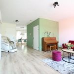 Rent 4 bedroom house of 138 m² in Eindhoven