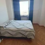 Rent 2 bedroom apartment of 55 m² in Modena