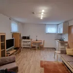 Rent 1 bedroom apartment of 33 m² in Frankfurt