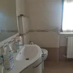 Rent 5 bedroom apartment of 80 m² in Foggia