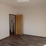 Rent 3 bedroom apartment of 68 m² in Plzeň