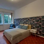 Rent 2 bedroom apartment of 65 m² in Torino