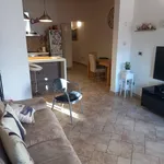 Rent 1 bedroom apartment of 65 m² in livorno