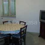 Rent 2 bedroom apartment of 50 m² in Frosinone