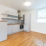 Rent 2 bedroom apartment of 55 m² in Linz