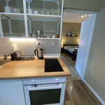 Rent 1 bedroom apartment of 35 m² in Prague