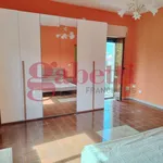 Rent 2 bedroom apartment of 60 m² in Pozzilli