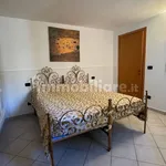 Rent 3 bedroom apartment of 87 m² in Bologna