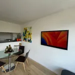 Huur 1 slaapkamer appartement van 50 m² in IXELLES