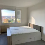 Rent 3 bedroom apartment in Praha 4