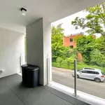 Rent 1 bedroom apartment in Sint-Andries