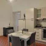 Rent 1 bedroom apartment of 50 m² in florence