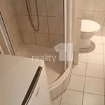 Rent 1 bedroom apartment in Ústí nad Labem