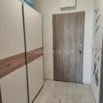 Rent 2 bedroom apartment of 44 m² in České Budějovice