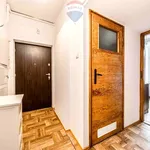 Rent 1 bedroom apartment of 32 m² in Poznan