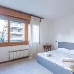 Rent 1 bedroom apartment in Bologna