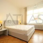 Rent 4 bedroom apartment of 120 m² in Prague