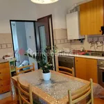 Rent 4 bedroom apartment of 80 m² in Siena