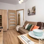 Rent 1 bedroom apartment in warsaw