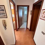 Rent 1 bedroom apartment of 45 m² in Verona