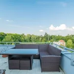 Rent 3 bedroom apartment of 73 m² in plzen