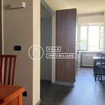 Rent 4 bedroom apartment of 90 m² in Forlì