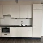 Huur 3 slaapkamer appartement van 93 m² in Russische buurt