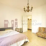 Rent 1 bedroom apartment of 50 m² in Roma