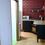 Rent 1 bedroom apartment of 42 m² in Teplice