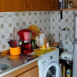 Rent 3 bedroom apartment of 55 m² in Ovindoli