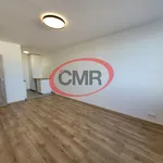 Rent 1 bedroom apartment of 45 m² in Prague