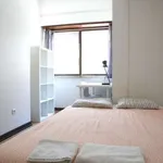 Rent a room in lisbon