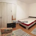 Rent 1 bedroom apartment in Grădinari