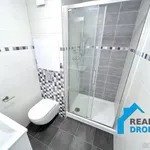 Rent 1 bedroom apartment in Děčín