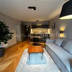 Rent 2 bedroom apartment of 47 m² in LILLE