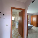 Rent 1 bedroom apartment of 40 m² in Mortara