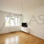 Rent 2 bedroom apartment of 65 m² in Prague