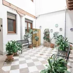 Rent 1 bedroom apartment in granada