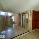 Rent 2 bedroom apartment of 45 m² in Turin