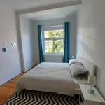 Rent 2 bedroom apartment of 65 m² in Berlin