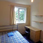 Rent 1 bedroom house in Sheffield