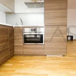 Rent 2 bedroom apartment of 59 m² in Prague