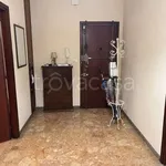 Rent 2 bedroom apartment of 55 m² in Torino