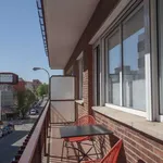 Rent 2 bedroom apartment of 65 m² in madrid