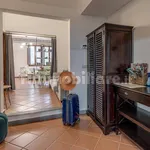 Rent 3 bedroom apartment of 70 m² in Florence