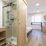 Rent 1 bedroom apartment in madrid