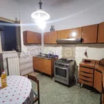 Rent 7 bedroom apartment of 140 m² in Marsala