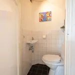 Rent 3 bedroom house of 100 m² in Natuurkundigenbuurt-oost