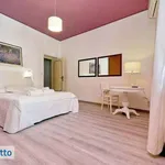 Rent 3 bedroom apartment of 50 m² in Rome